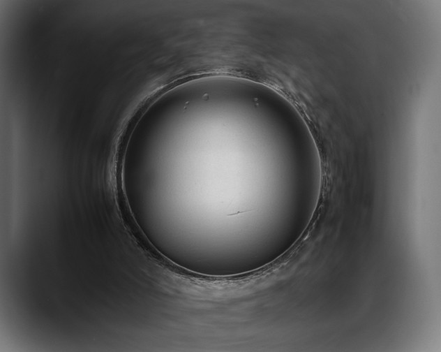 X0000088620006200705251251
