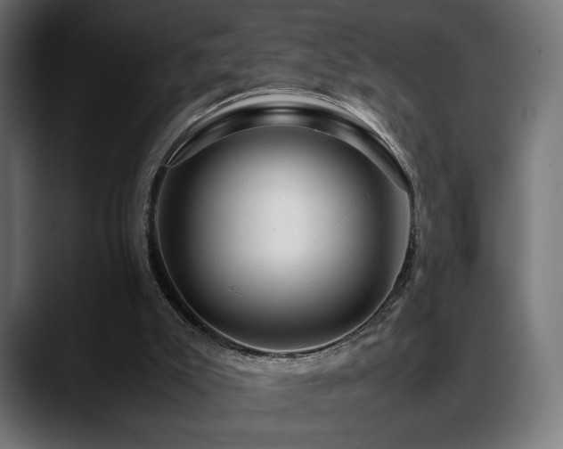 X0000088620007200705251251