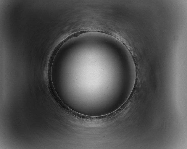 X0000088620008200705251251