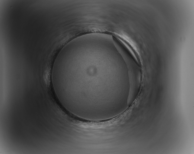 X0000088620009200705251251