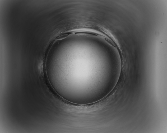 X0000088620010200705251251
