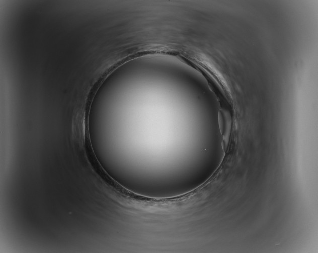 X0000088620011200705251251