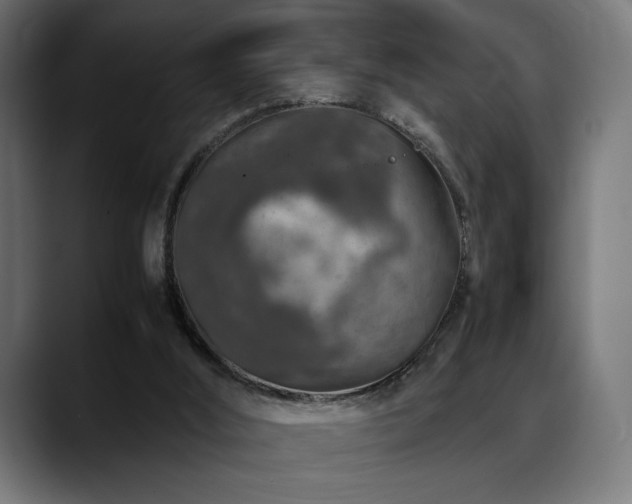 X0000088620012200705251251