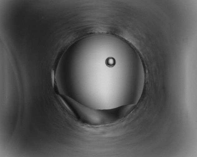 X0000088620013200705251251