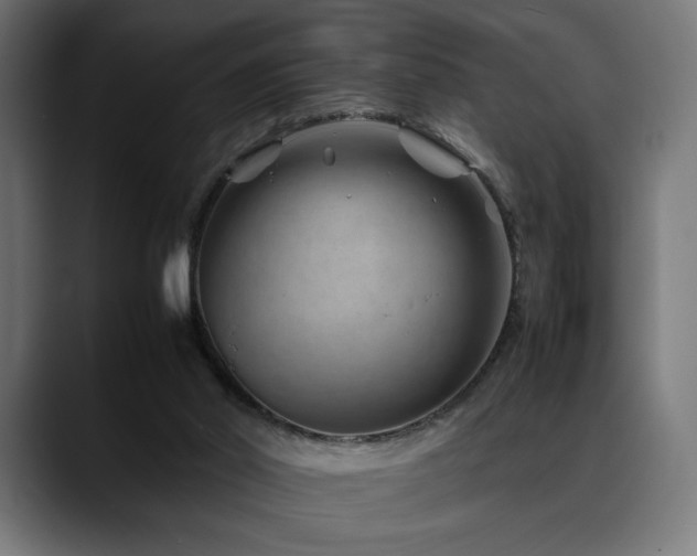X0000088620014200705251251