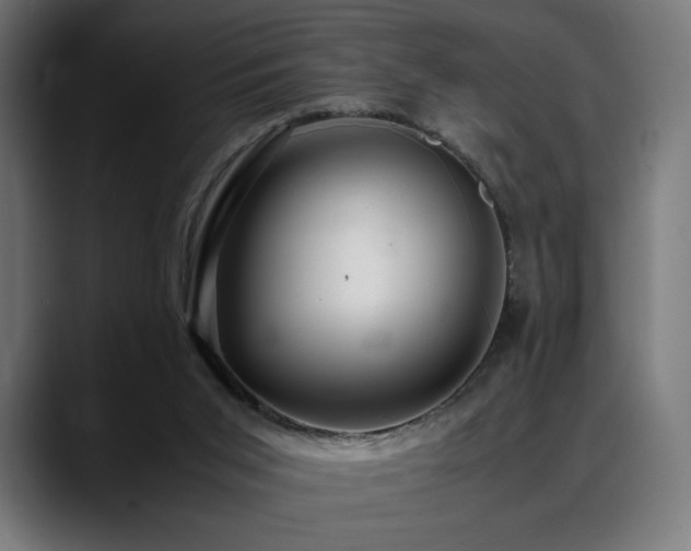 X0000088620015200705251251