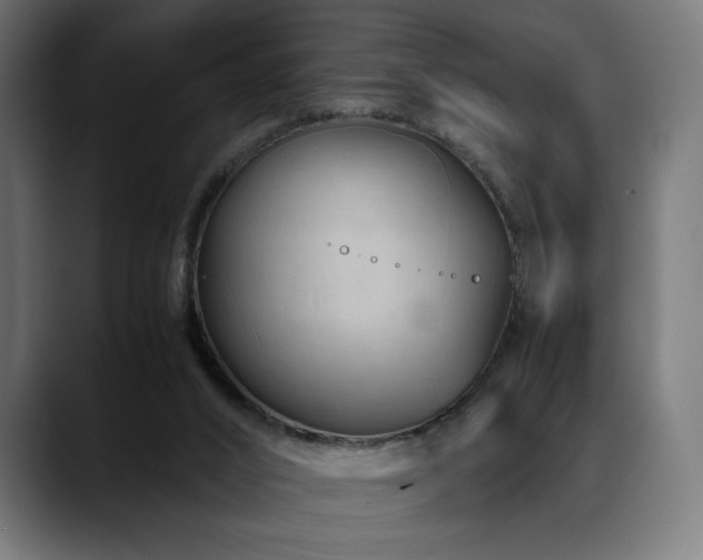 X0000088620016200705251251