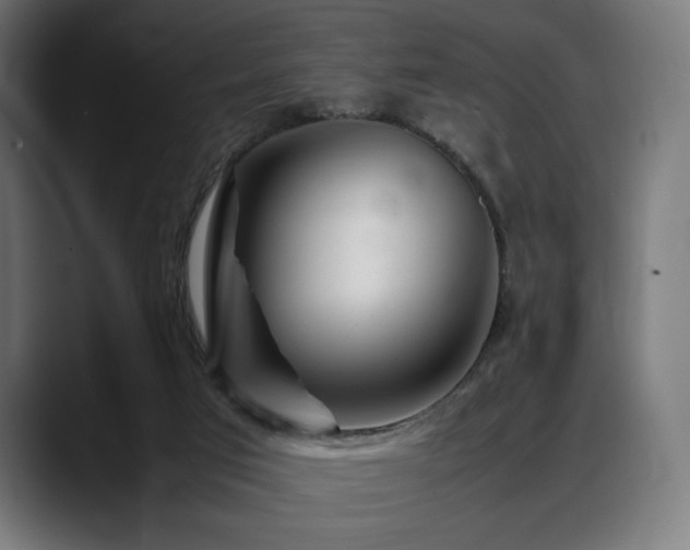 X0000088620017200705251251