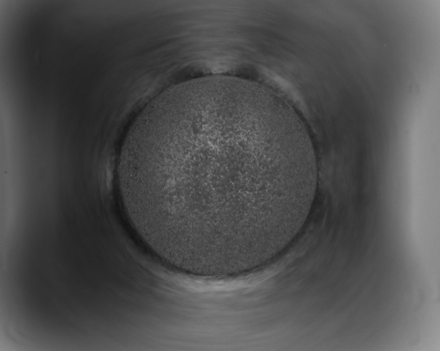 X0000088620018200705251251