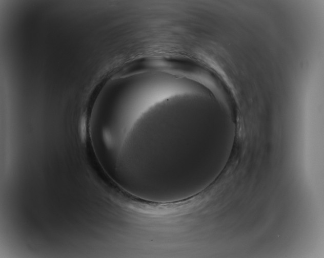 X0000088620019200705251250