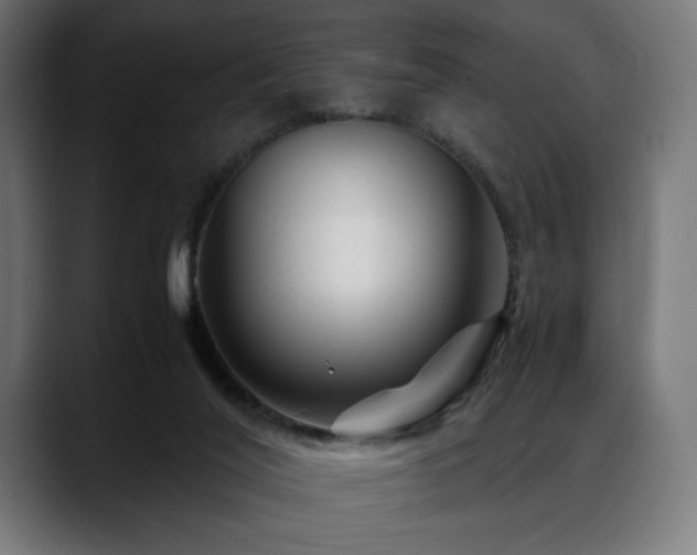 X0000088620020200705251250