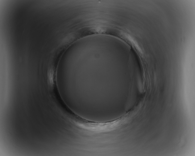 X0000088620023200705251250