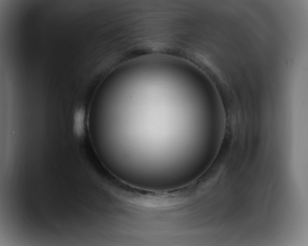 X0000088620024200705251250