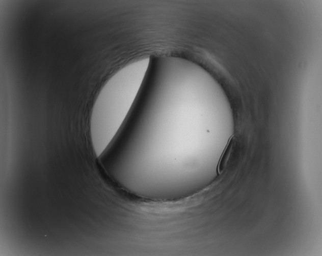 X0000088620025200705251250