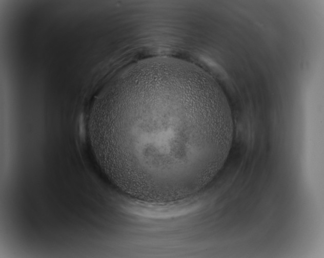 X0000088620026200705251250