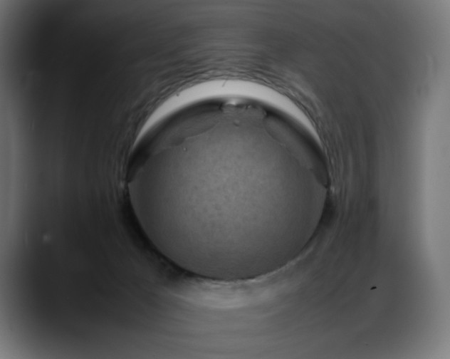 X0000088620029200705251250