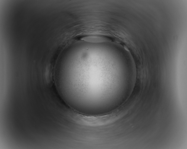 X0000088620030200705251250