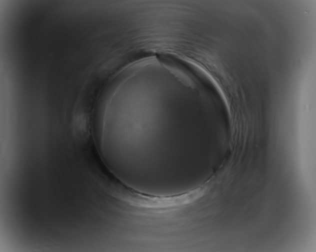X0000088620031200705251250