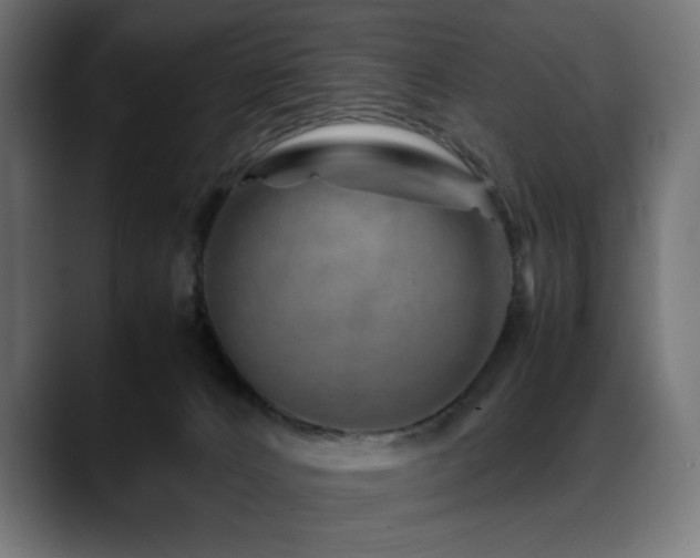 X0000088620032200705251250