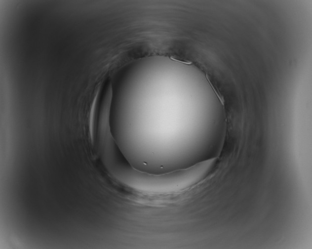 X0000088620033200705251250