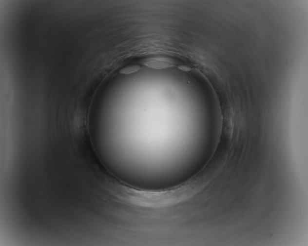 X0000088620034200705251250
