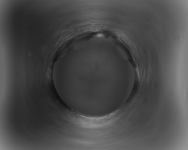 X0000088620035200705251250