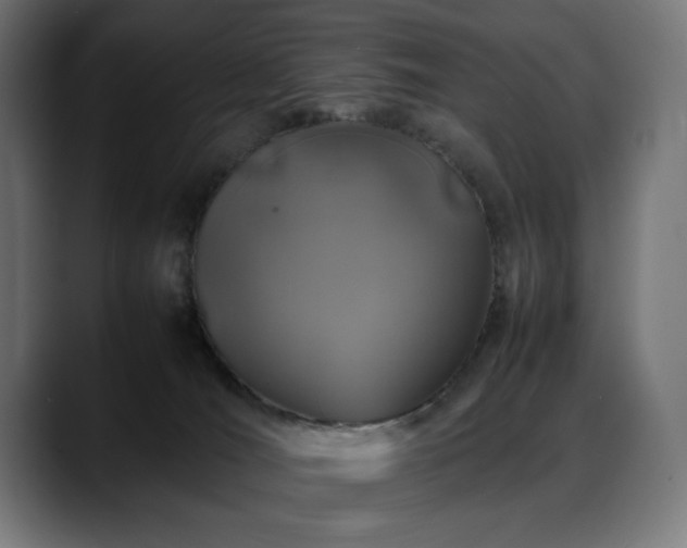 X0000088620036200705251250