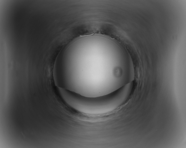 X0000088620037200705251250