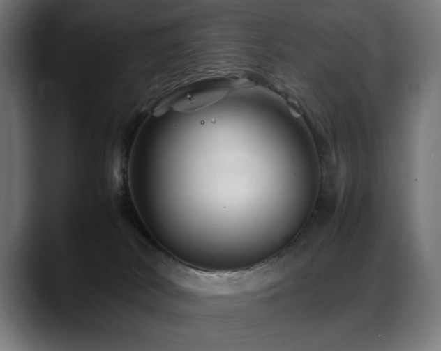 X0000088620038200705251250
