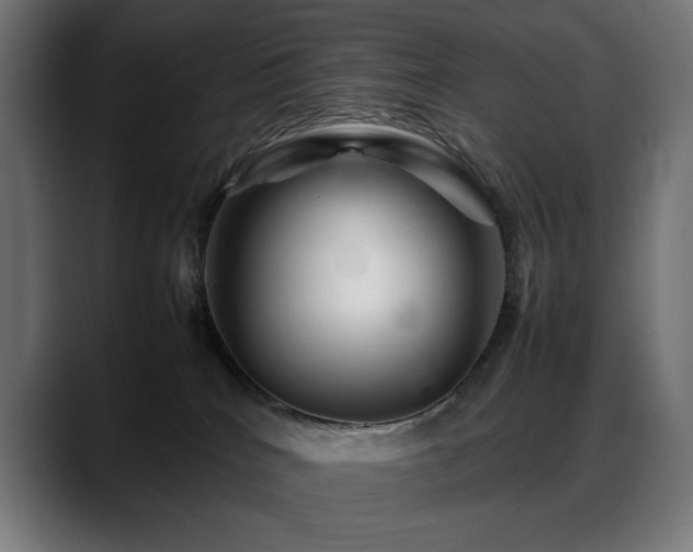 X0000088620040200705251250