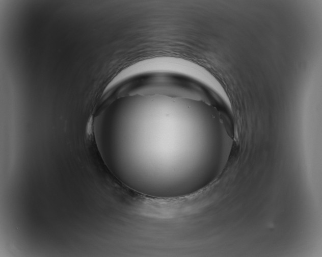 X0000088620041200705251250