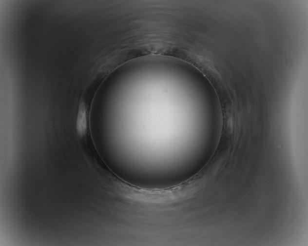 X0000088620042200705251250