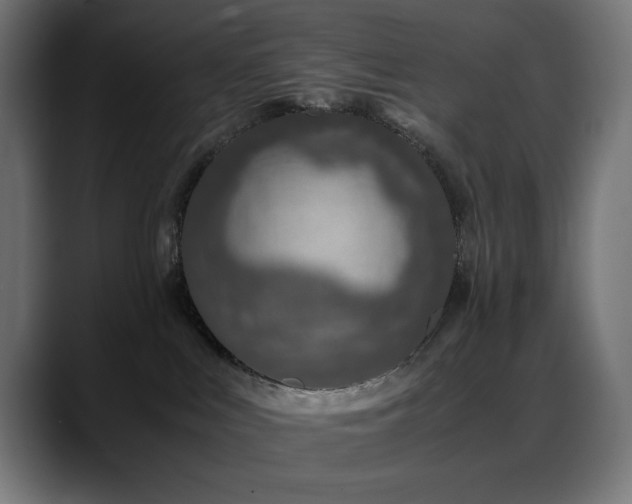 X0000088620043200705251250