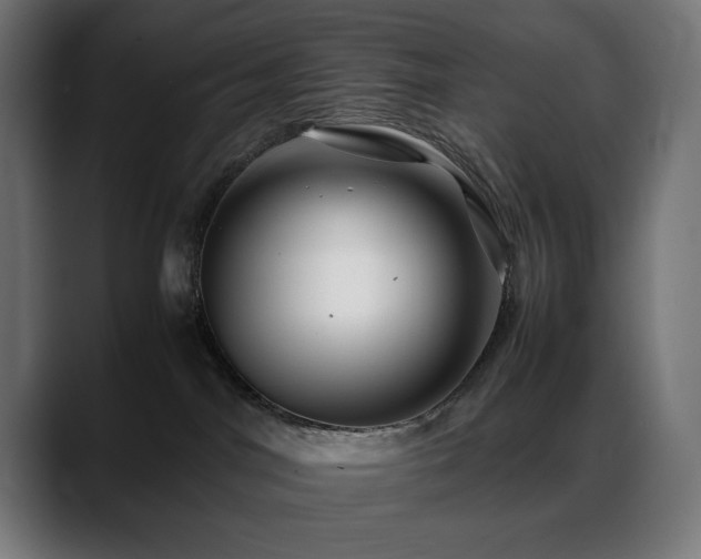 X0000088620044200705251250