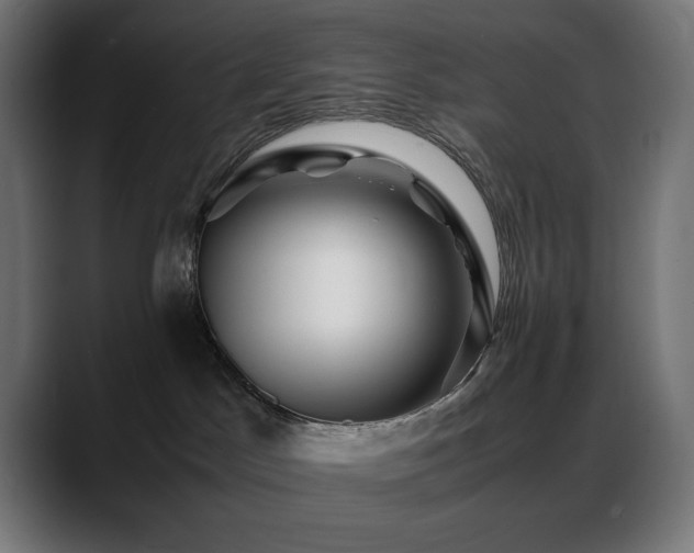 X0000088620045200705251250