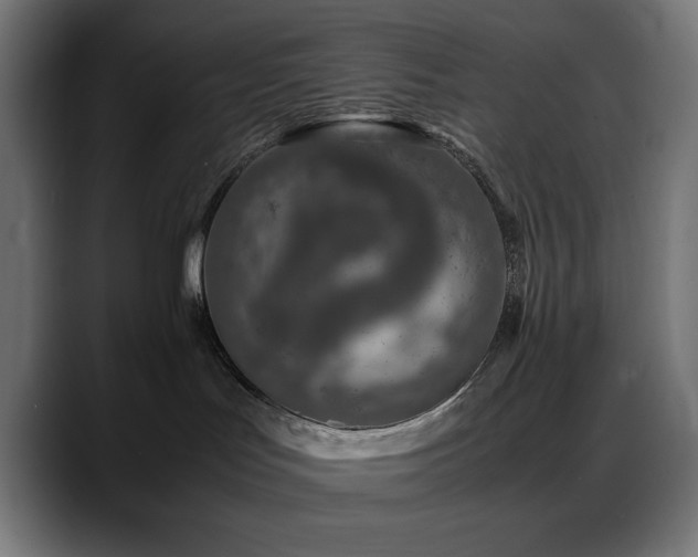X0000088620047200705251250