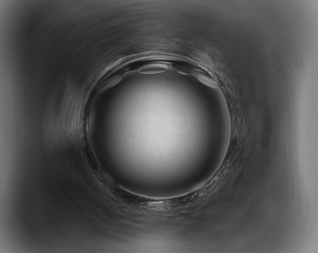 X0000088620050200705251250