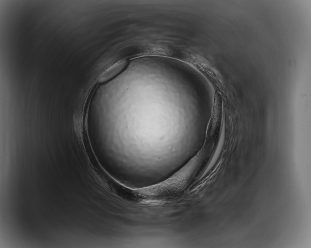 X0000088620051200705251250