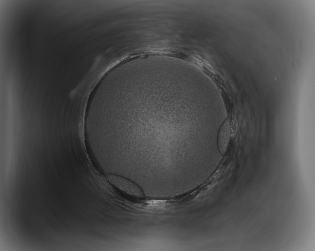 X0000088620052200705251250
