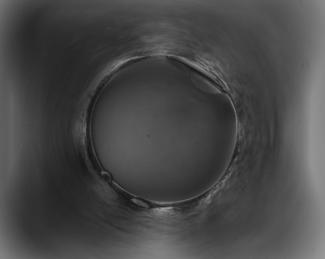X0000088620054200705251250