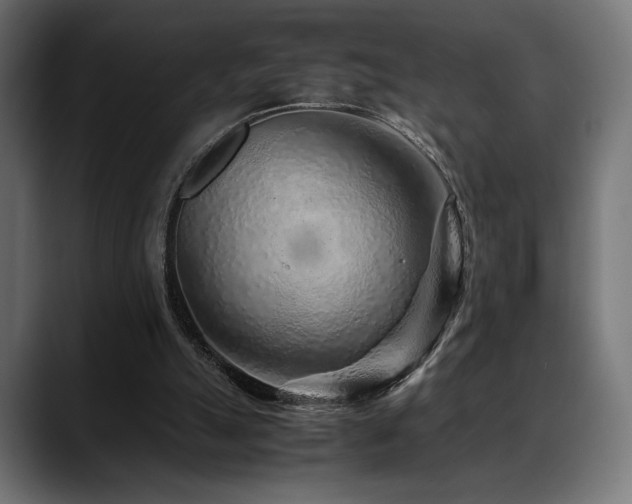 X0000088620055200705251250