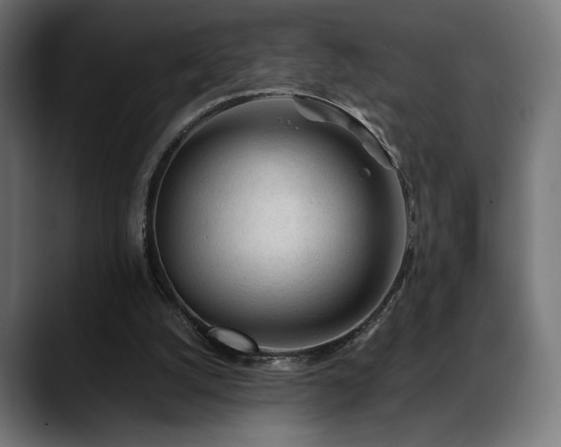 X0000088620056200705251250
