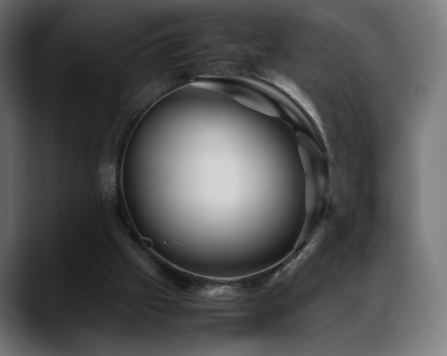 X0000088620057200705251250