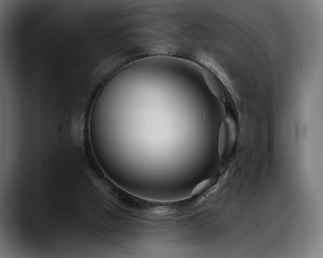 X0000088620058200705251250