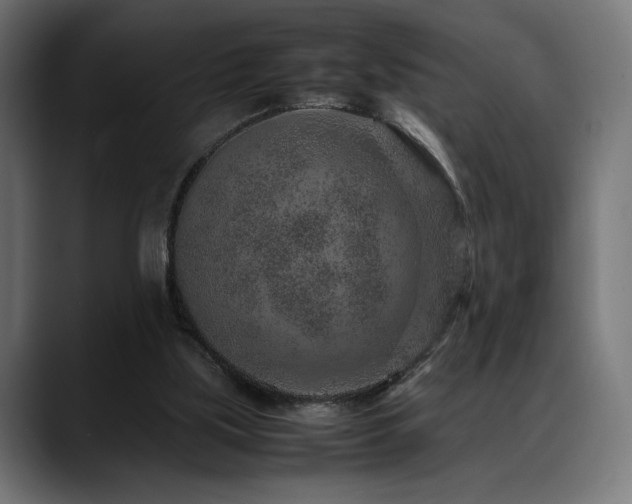 X0000088620059200705251250