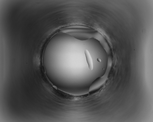 X0000088620060200705251250