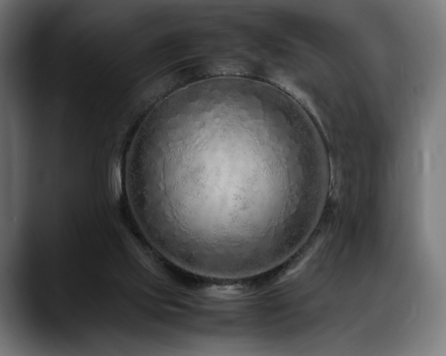 X0000088620061200705251250