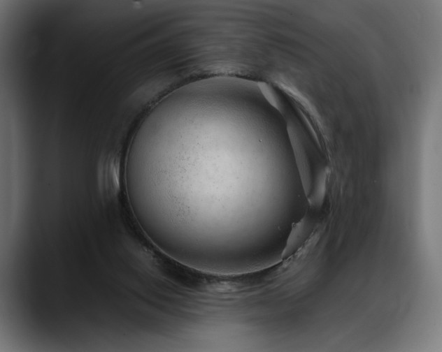 X0000088620062200705251250
