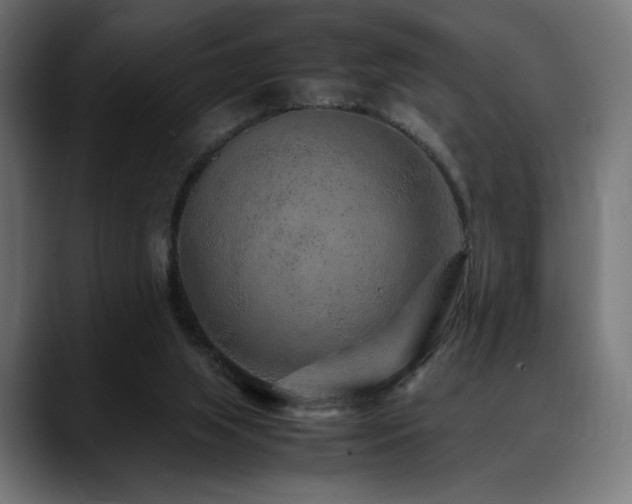 X0000088620063200705251250