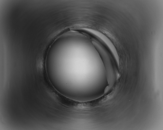 X0000088620064200705251250